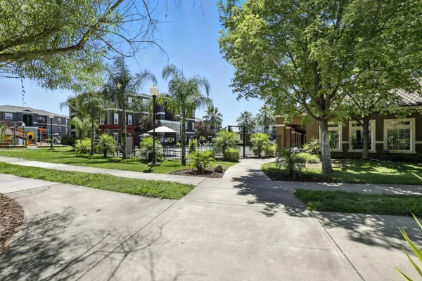 a view of a park with large trees