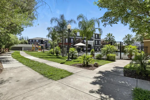 a view of a park with plants and trees