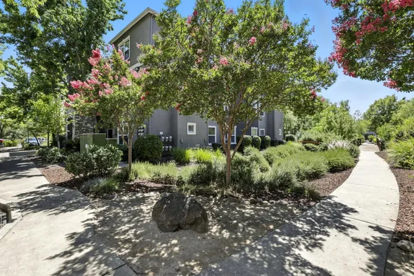 a view of backyard with plants and trees