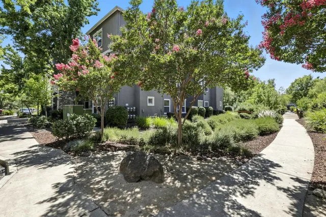 a view of backyard with plants and trees