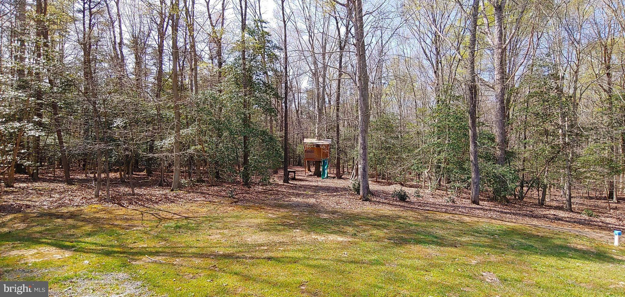 3545 Linkins Road Indian Head, MD 20640 - Photo 28 of 30 Rear Lot