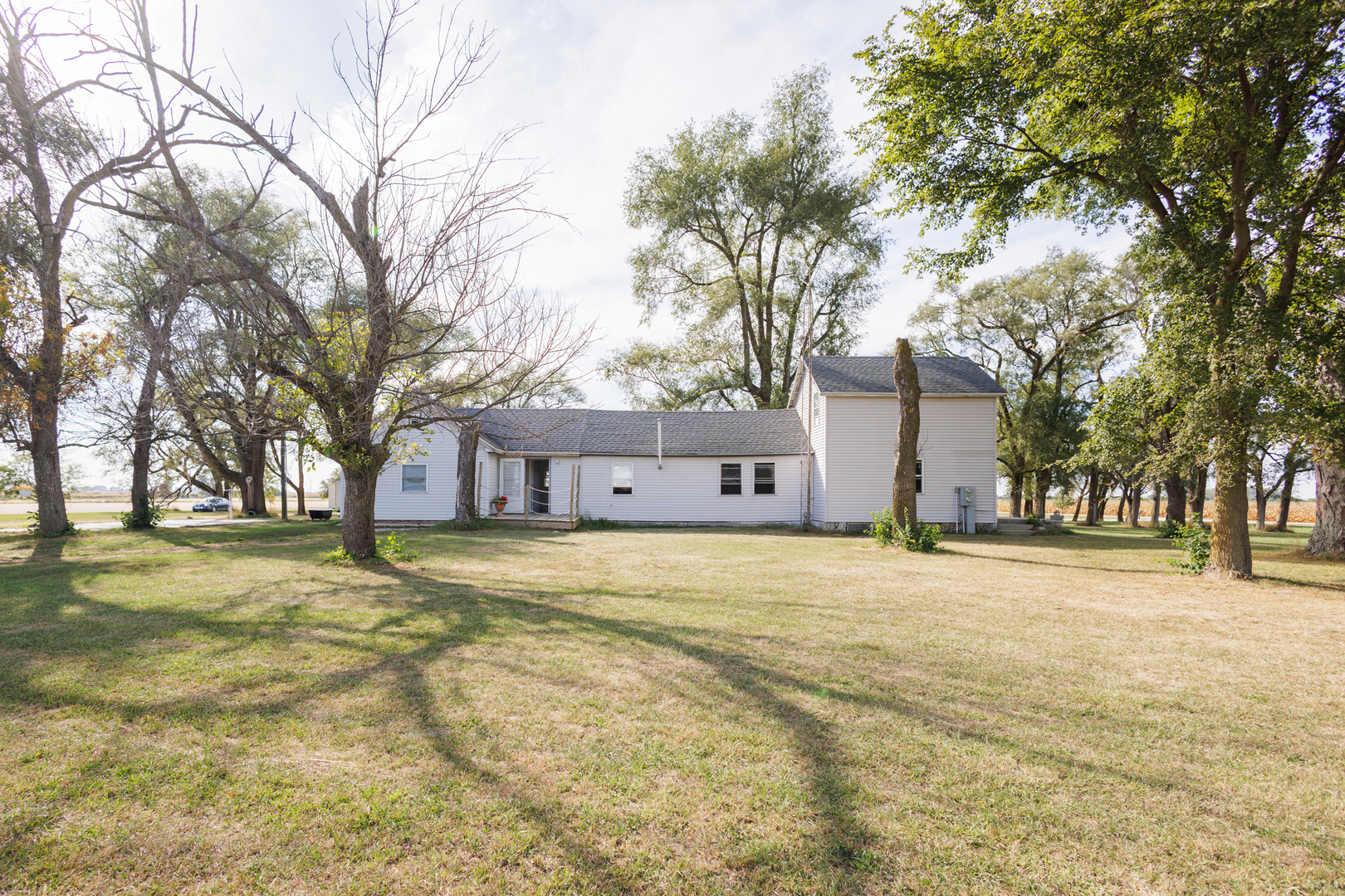 2060 West 5000S Road Chebanse, IL 60922 - Photo 2 of 54 a tall tree in middle of a yard next to a building
