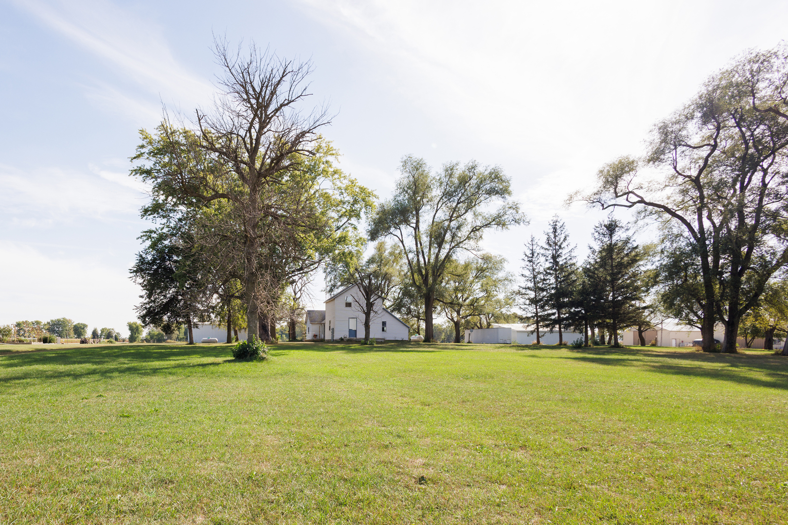 2060 West 5000S Road Chebanse, IL 60922 - Photo 31 of 54 a garden view with a fountain
