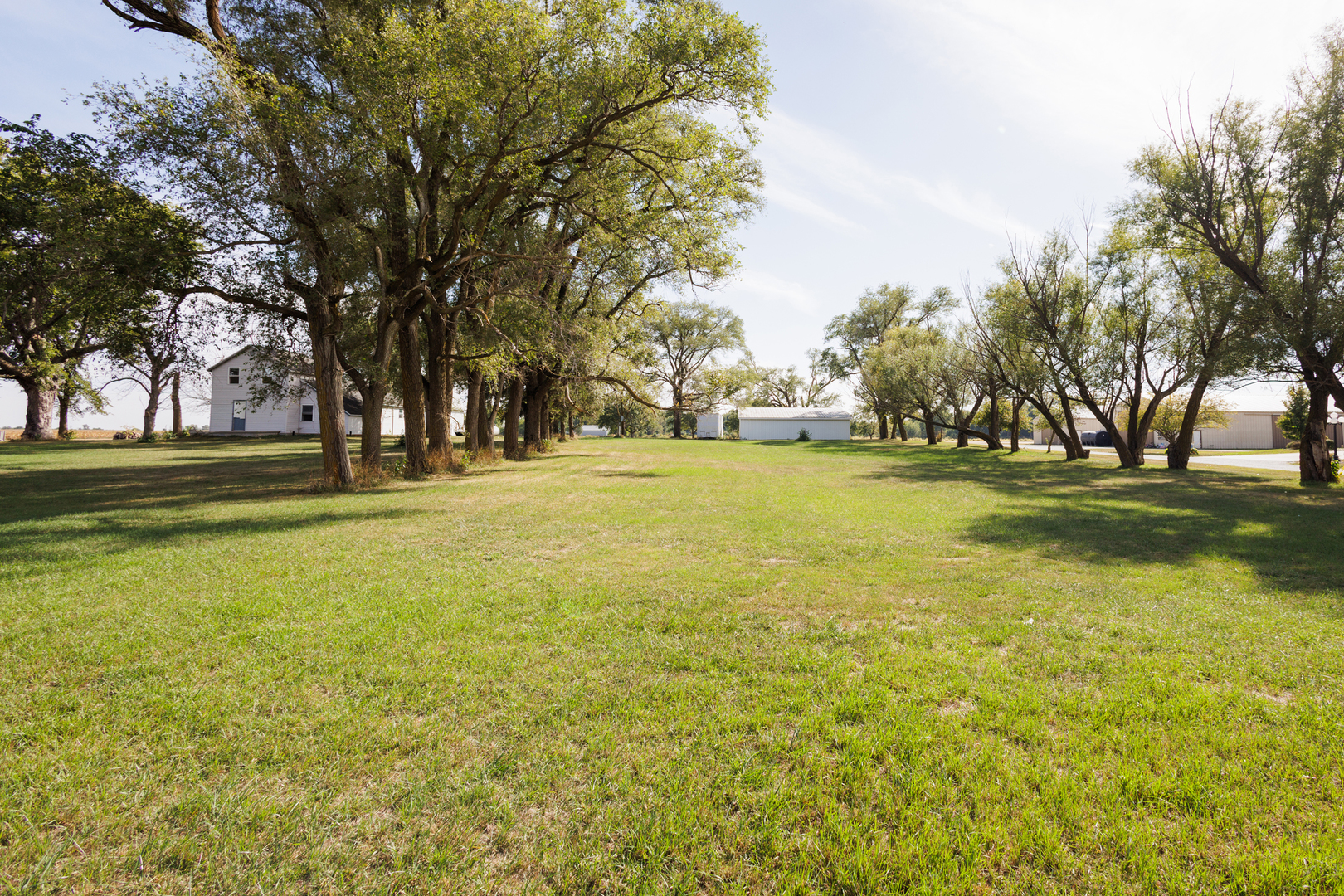 2060 West 5000S Road Chebanse, IL 60922 - Photo 34 of 54 a view of a field with trees in the background