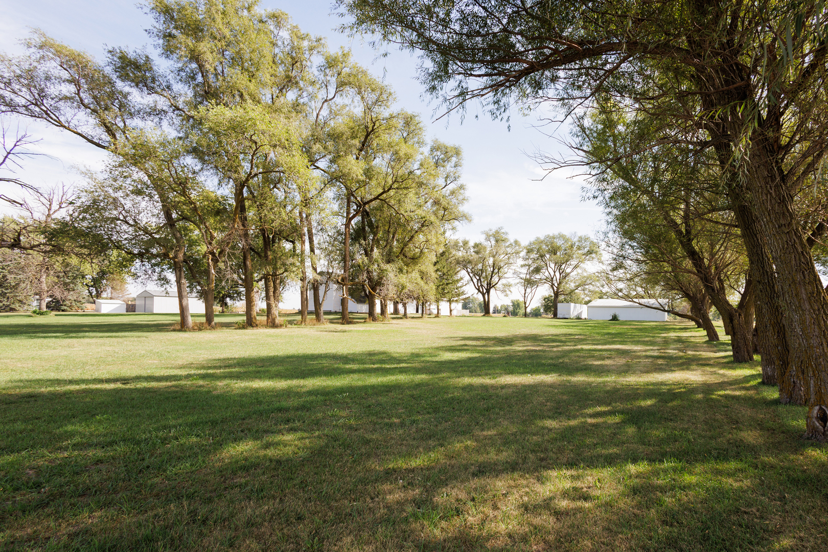 2060 West 5000S Road Chebanse, IL 60922 - Photo 35 of 54 a big yard with lots of trees and plants