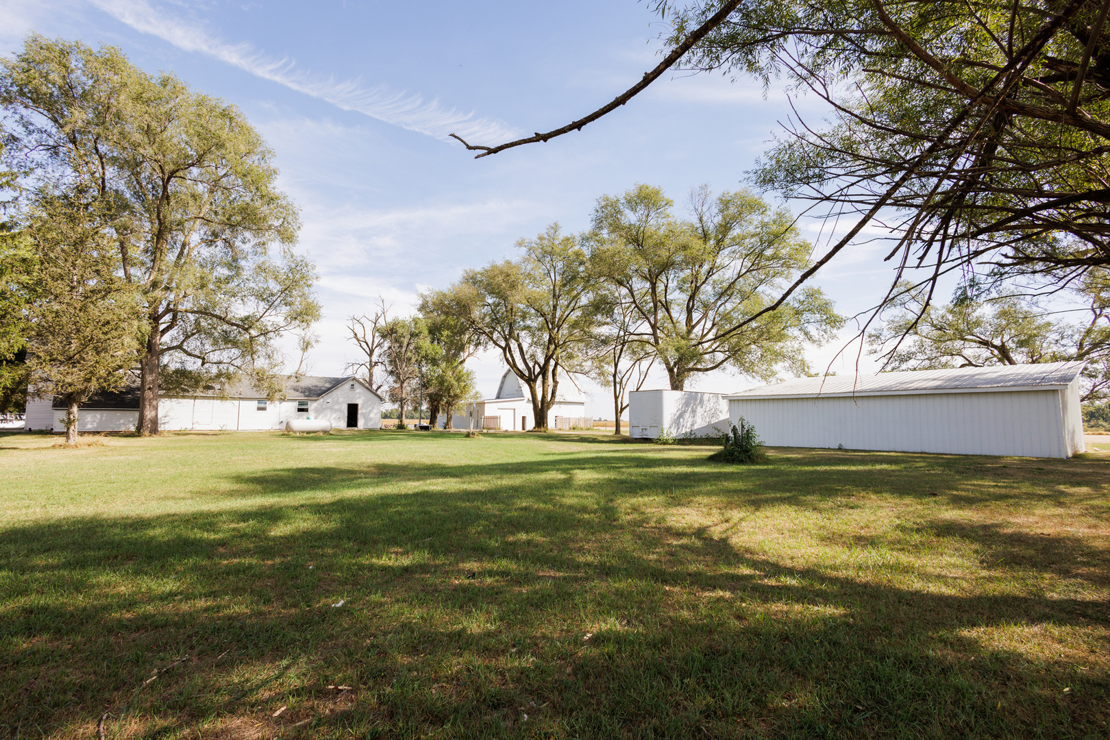 2060 West 5000S Road Chebanse, IL 60922 - Photo 36 of 54 a view of a large trees with a big yard