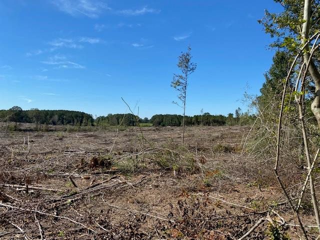 Tbd Tbd Miller & Cavanaugh Road Bassfield, MS 39421 - Photo 1 of 11 Main View