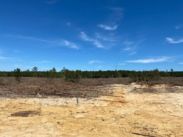 Tbd Tbd Miller & Cavanaugh Road Bassfield, MS 39421 - Photo 11 of 11 Photo 11