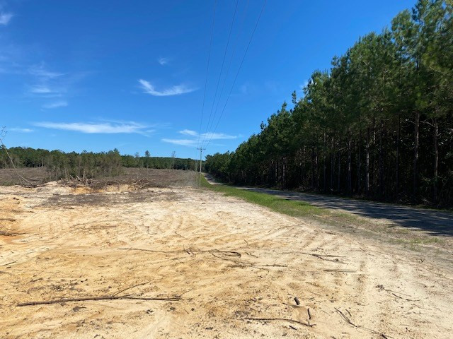Tbd Tbd Miller & Cavanaugh Road Bassfield, MS 39421 - Photo 2 of 11 Photo 2