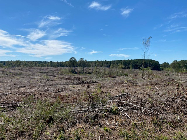 Tbd Tbd Miller & Cavanaugh Road Bassfield, MS 39421 - Photo 3 of 11 Photo 3