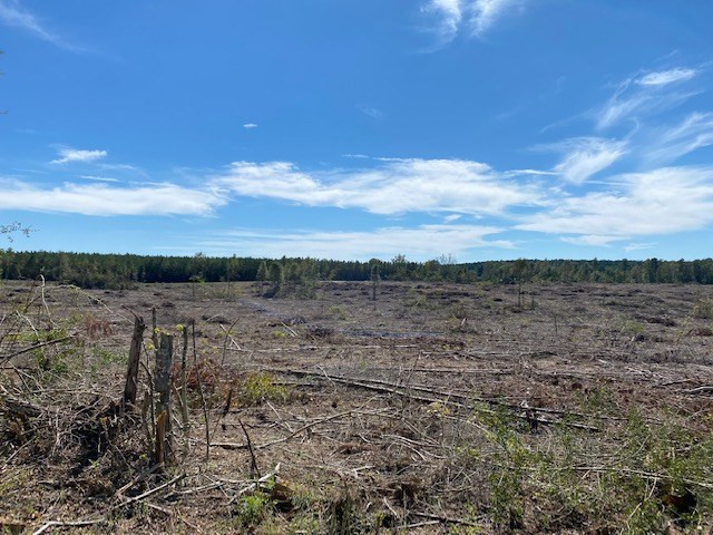 Tbd Tbd Miller & Cavanaugh Road Bassfield, MS 39421 - Photo 4 of 11 Photo 4