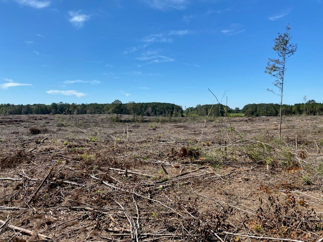 Tbd Tbd Miller & Cavanaugh Road Bassfield, MS 39421 - Photo 7 of 11 Photo 7