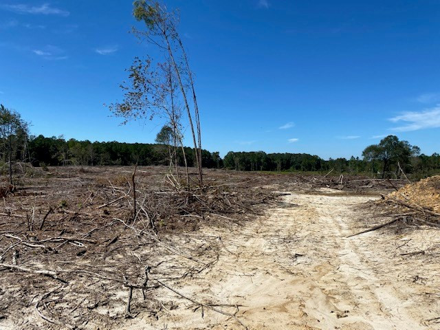 Tbd Tbd Miller & Cavanaugh Road Bassfield, MS 39421 - Photo 8 of 11 Photo 8