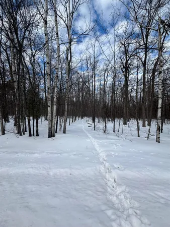 $40,000 | 0 Cherryville Road, Ashland, WI 54806