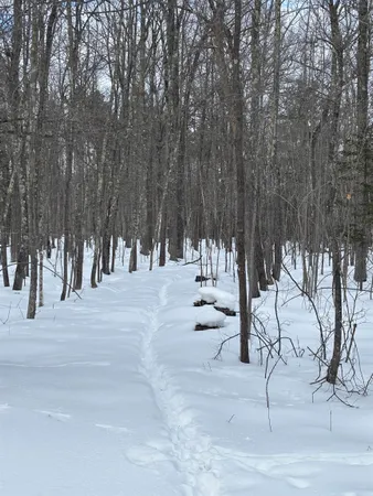 $40,000 | 0 Cherryville Road, Ashland, WI 54806