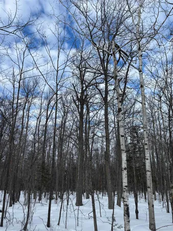 $40,000 | 0 Cherryville Road, Ashland, WI 54806