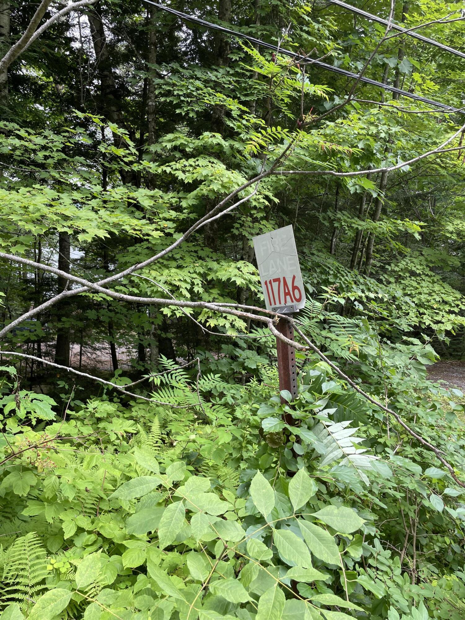 140 Dryad Woods Road Raymond, ME 04071 - Photo 35 of 37 Firelane