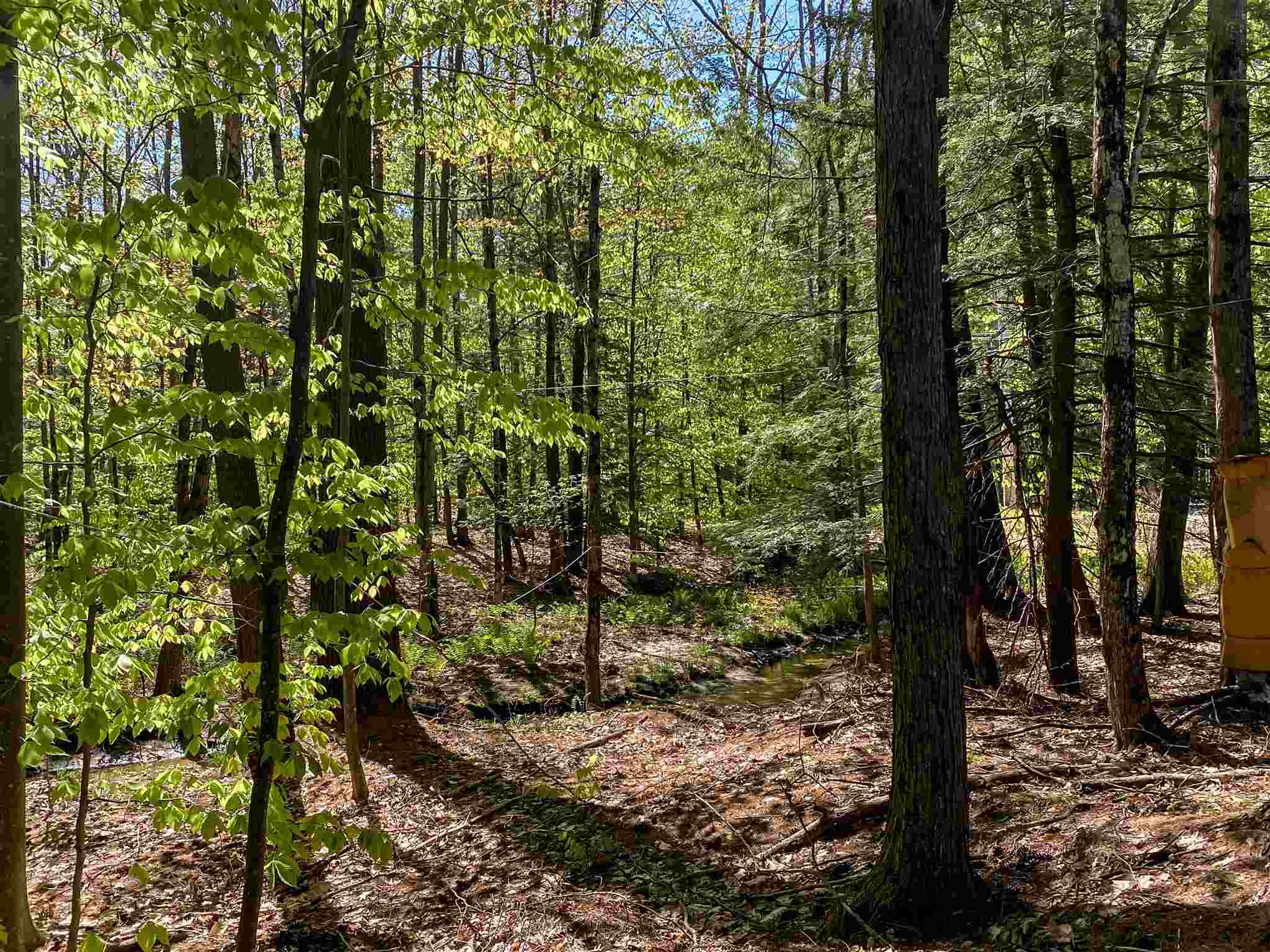 477 Kearsarge Road Conway, NH 03860 - Photo 34 of 36 Gallery Image 34
