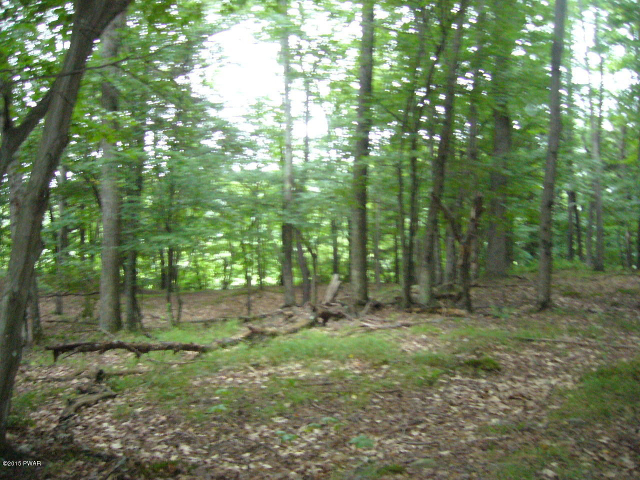 215 O And W Road Fishs Eddy, NY 13774 - Photo 12 of 43 Gallery Image 12