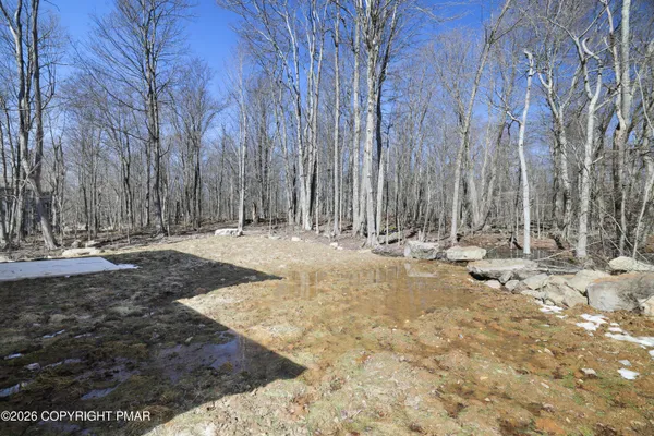 a view of a yard with trees