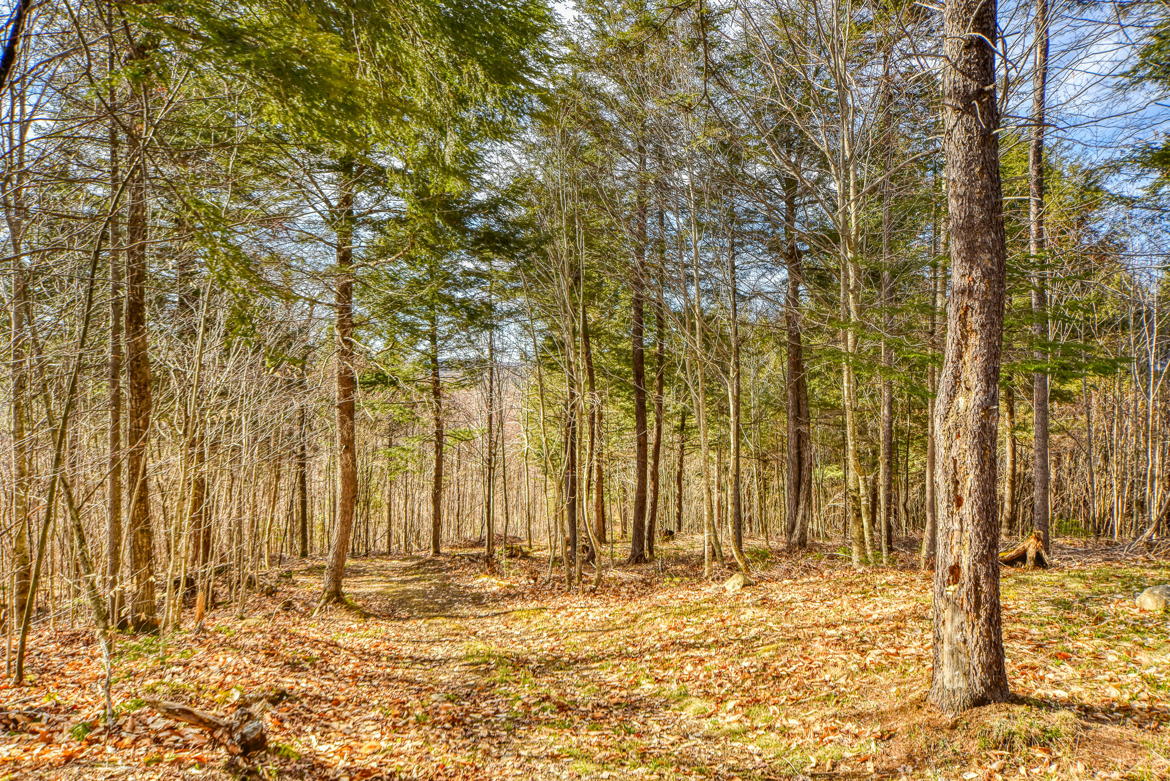 0 Little Huston Brook Road Concord Township, ME 04920 - Photo 109 of 193 108726gr-154