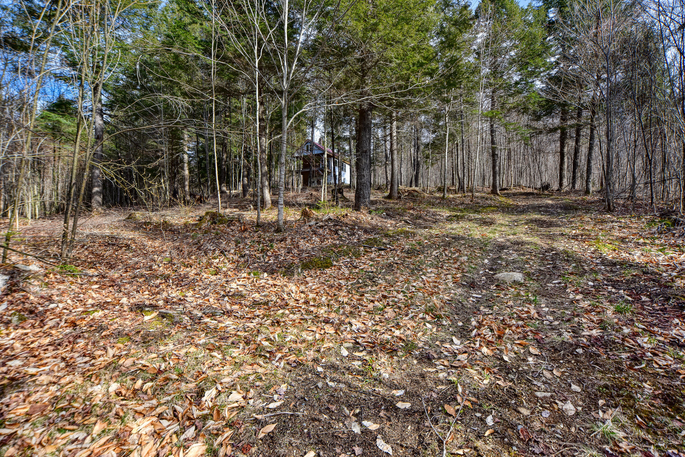 0 Little Huston Brook Road Concord Township, ME 04920 - Photo 117 of 193 108726gr-156