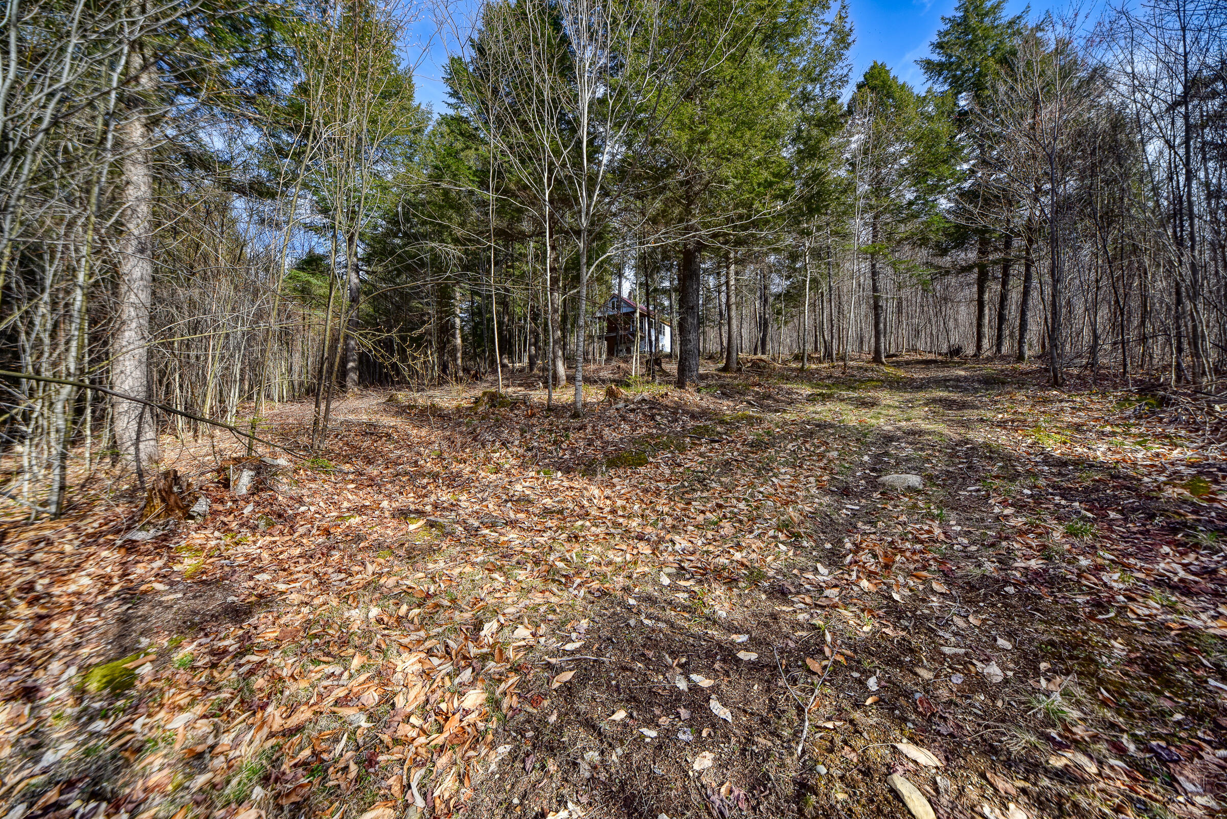 0 Little Huston Brook Road Concord Township, ME 04920 - Photo 118 of 193 108726gr-157