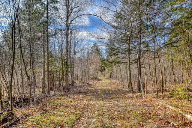 $295,000 | 0 Little Huston Brook Road, Concord Township, ME 04920
