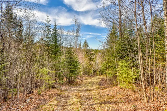 $295,000 | 0 Little Huston Brook Road, Concord Township, ME 04920