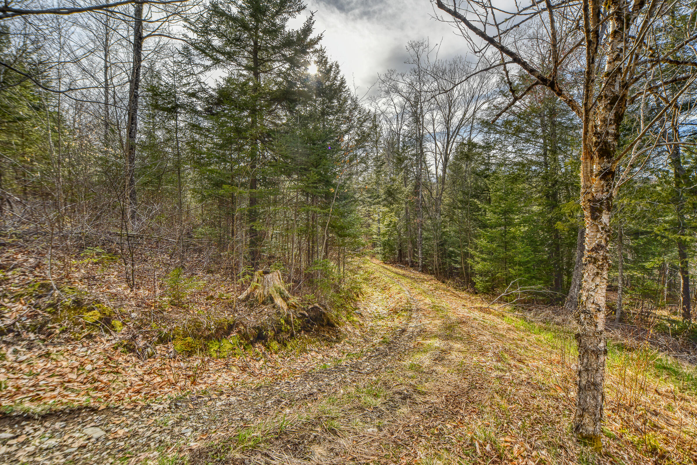 0 Little Huston Brook Road Concord Township, ME 04920 - Photo 124 of 193 108726gr-160