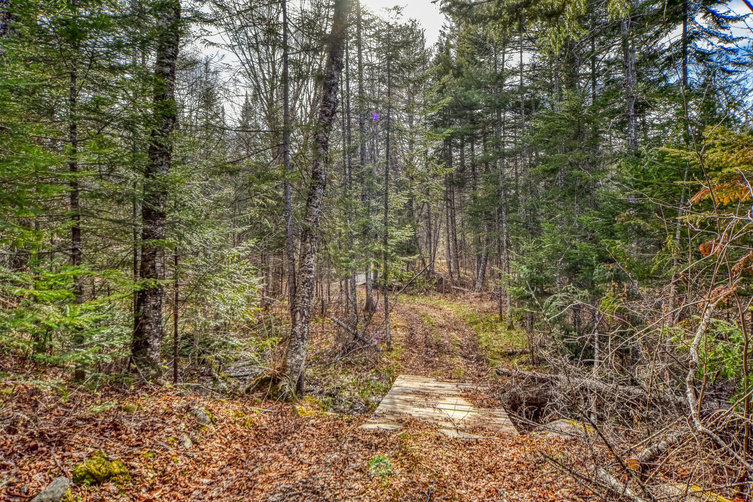 0 Little Huston Brook Road Concord Township, ME 04920 - Photo 125 of 193 108726gr-161