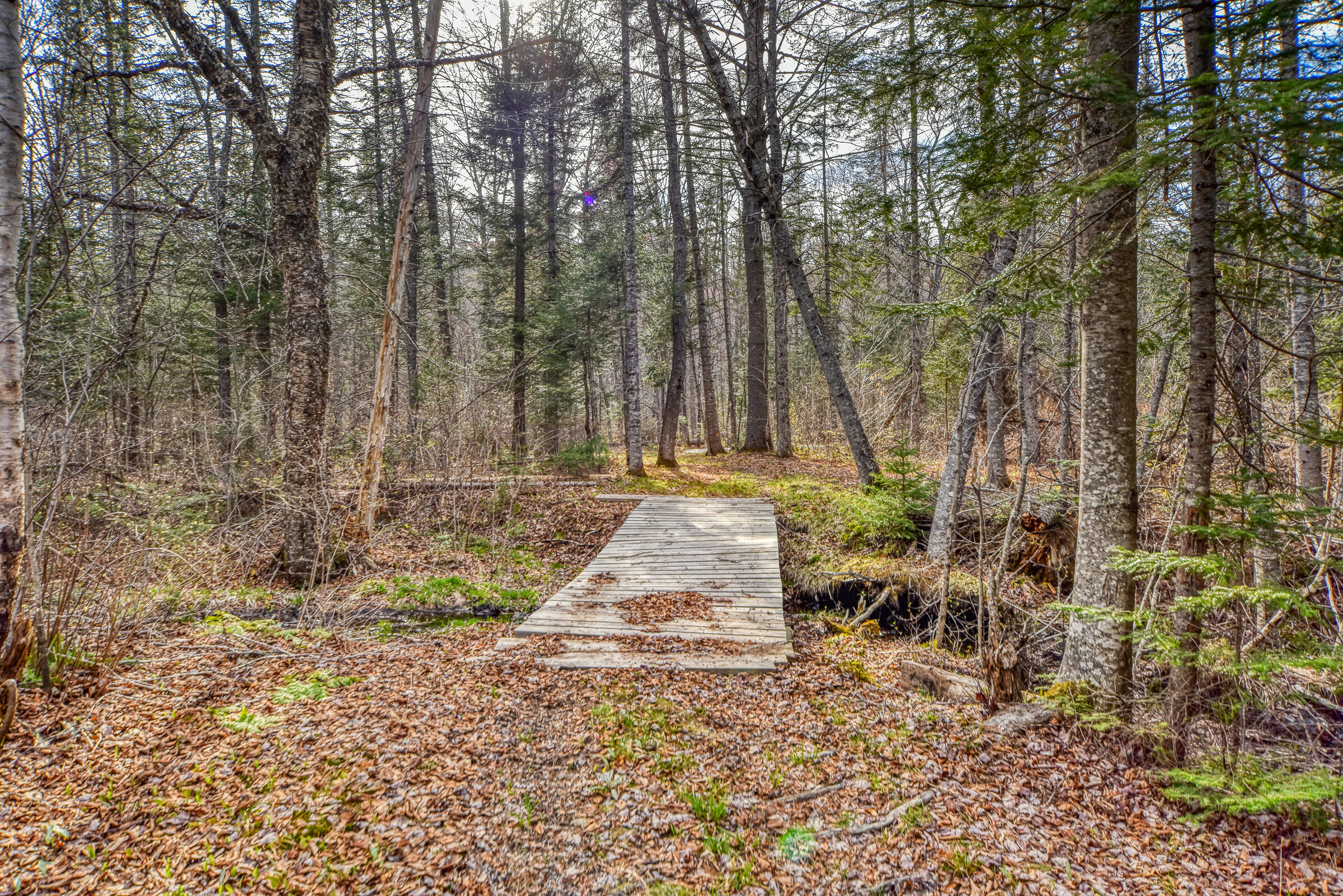 0 Little Huston Brook Road Concord Township, ME 04920 - Photo 127 of 193 108726gr-162