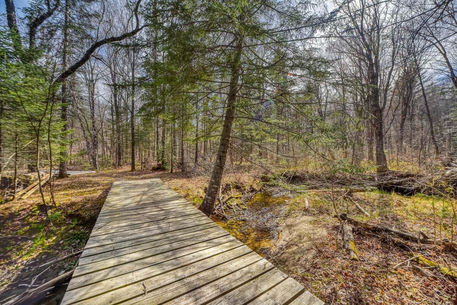 0 Little Huston Brook Road Concord Township, ME 04920 - Photo 13 of 193 20220516175442861172000000-o