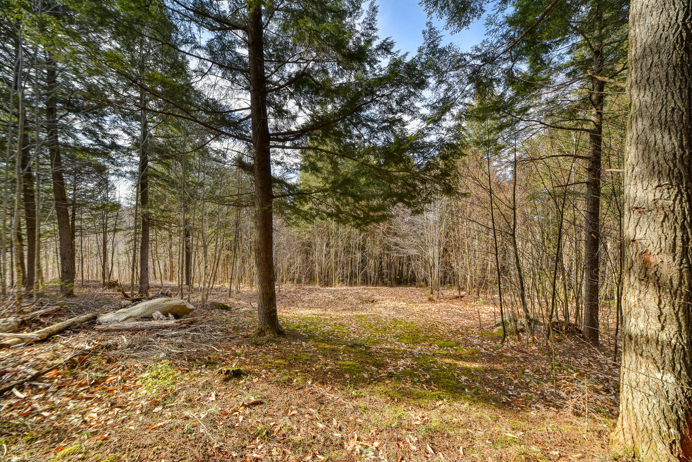 0 Little Huston Brook Road Concord Township, ME 04920 - Photo 138 of 193 108726gr-177