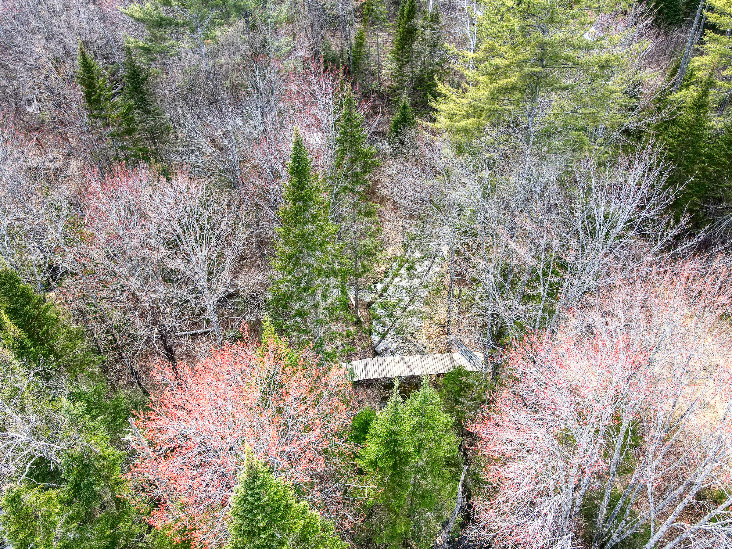 0 Little Huston Brook Road Concord Township, ME 04920 - Photo 145 of 193 108726ae-114