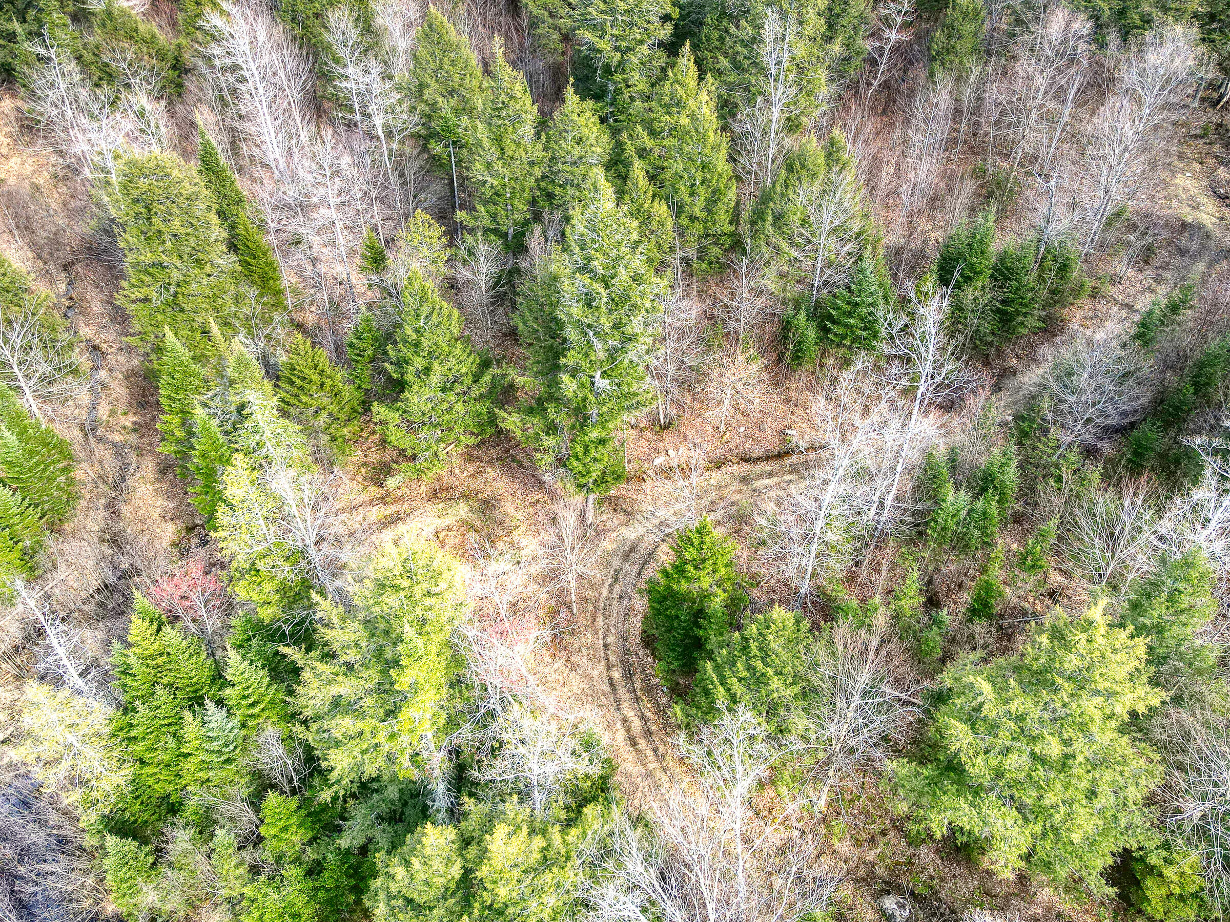 0 Little Huston Brook Road Concord Township, ME 04920 - Photo 147 of 193 108726ae-117