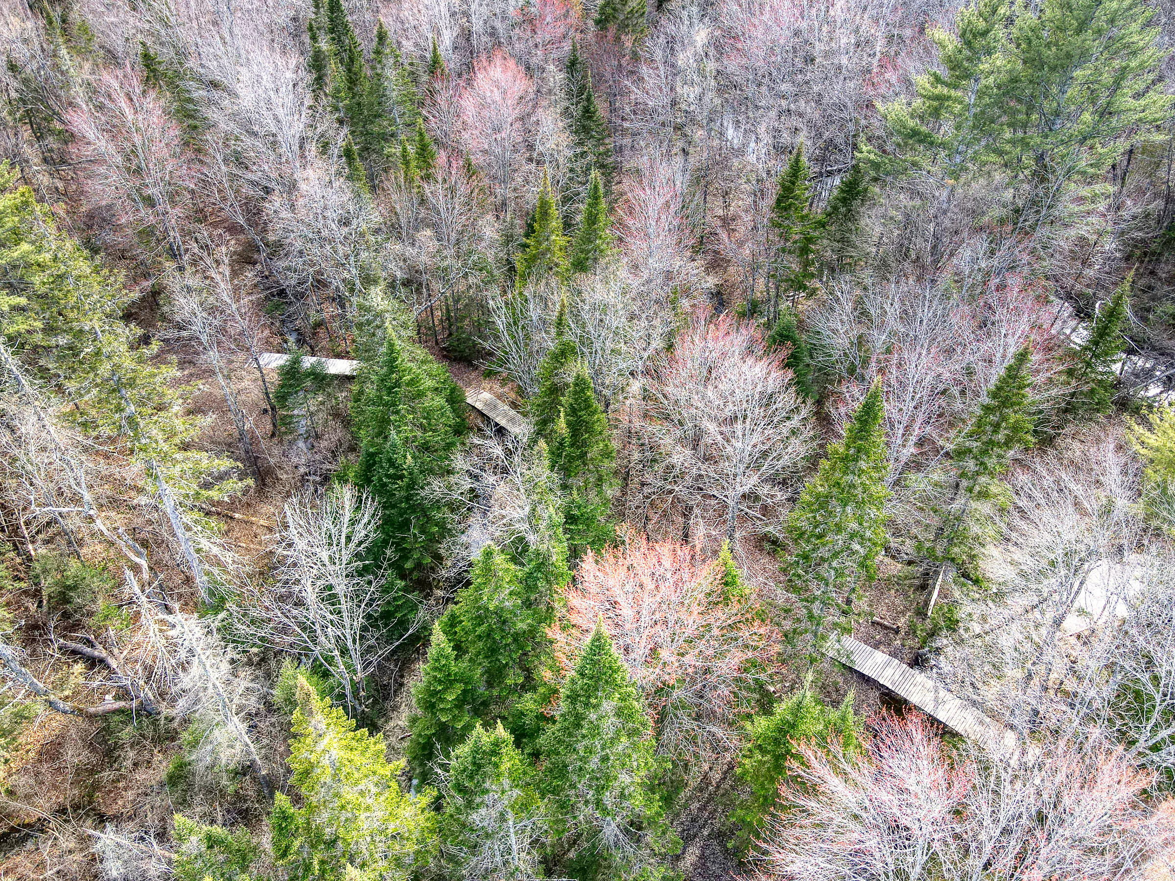0 Little Huston Brook Road Concord Township, ME 04920 - Photo 150 of 193 108726ae-116
