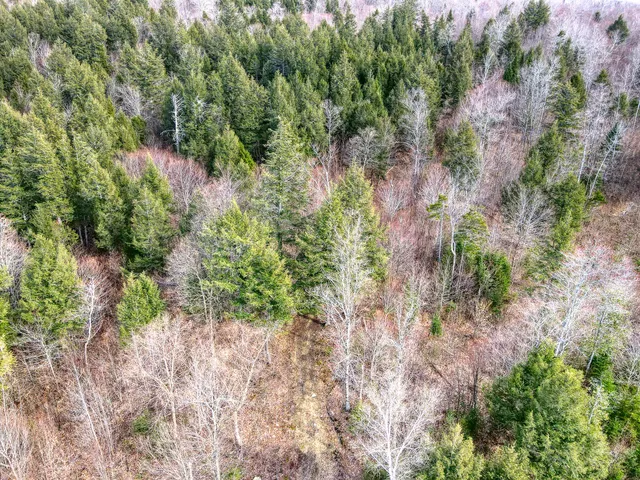 $295,000 | 0 Little Huston Brook Road, Concord Township, ME 04920