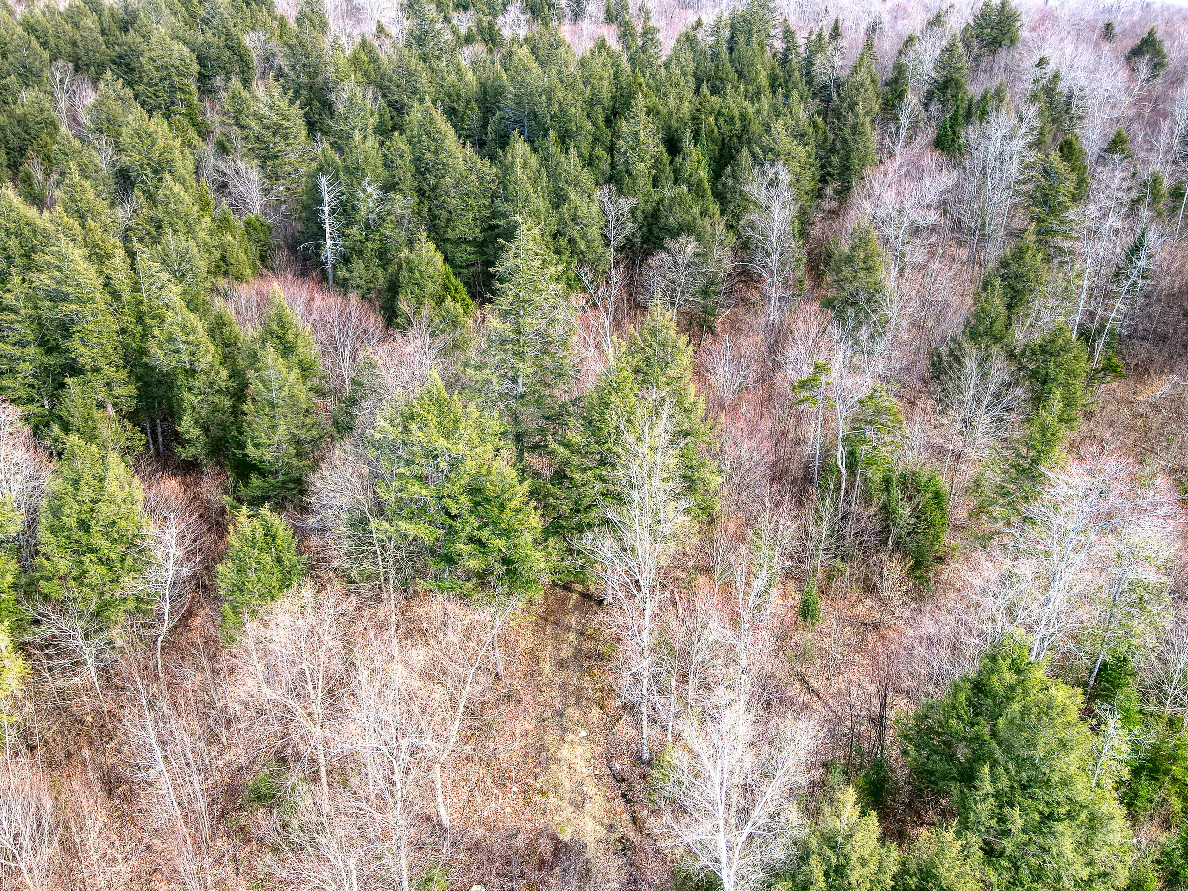 0 Little Huston Brook Road Concord Township, ME 04920 - Photo 151 of 193 108726ae-119