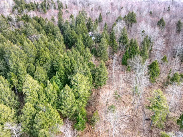 $295,000 | 0 Little Huston Brook Road, Concord Township, ME 04920