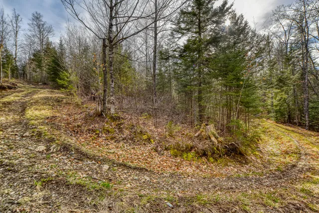 $295,000 | 0 Little Huston Brook Road, Concord Township, ME 04920