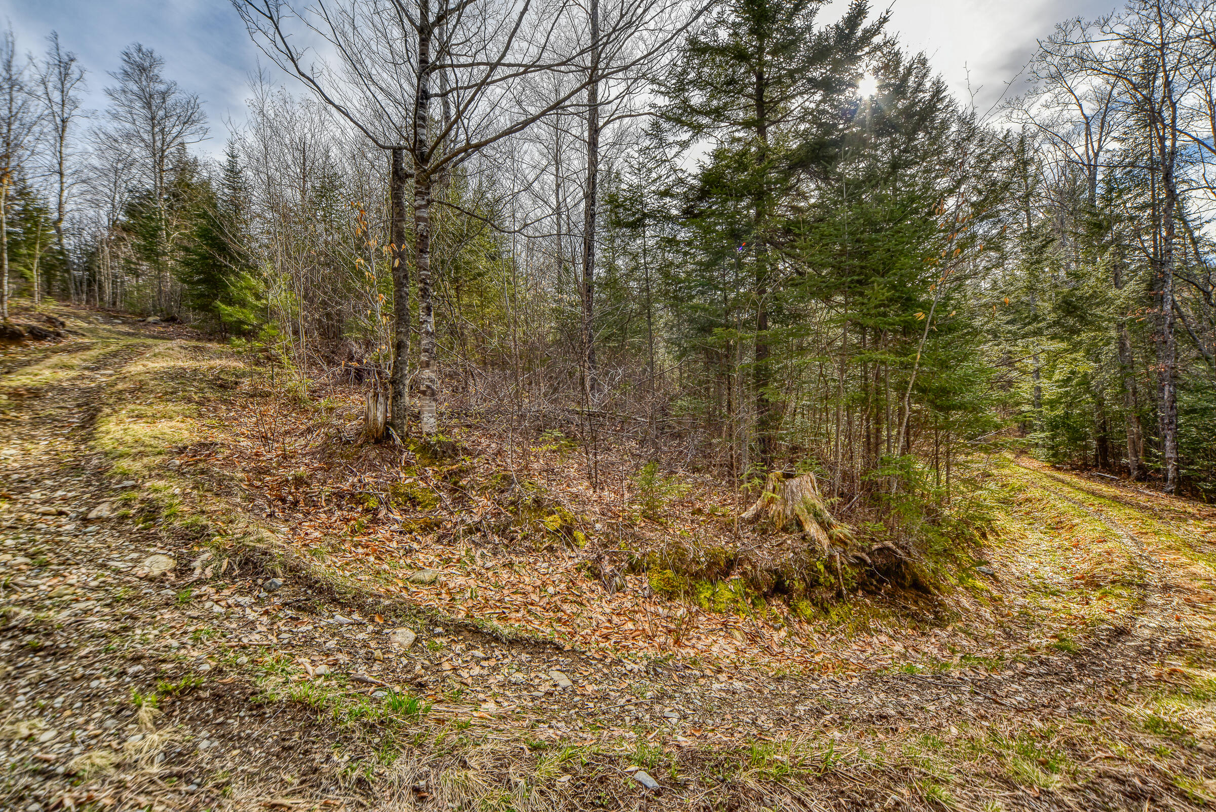 0 Little Huston Brook Road Concord Township, ME 04920 - Photo 164 of 193 108726gr-114