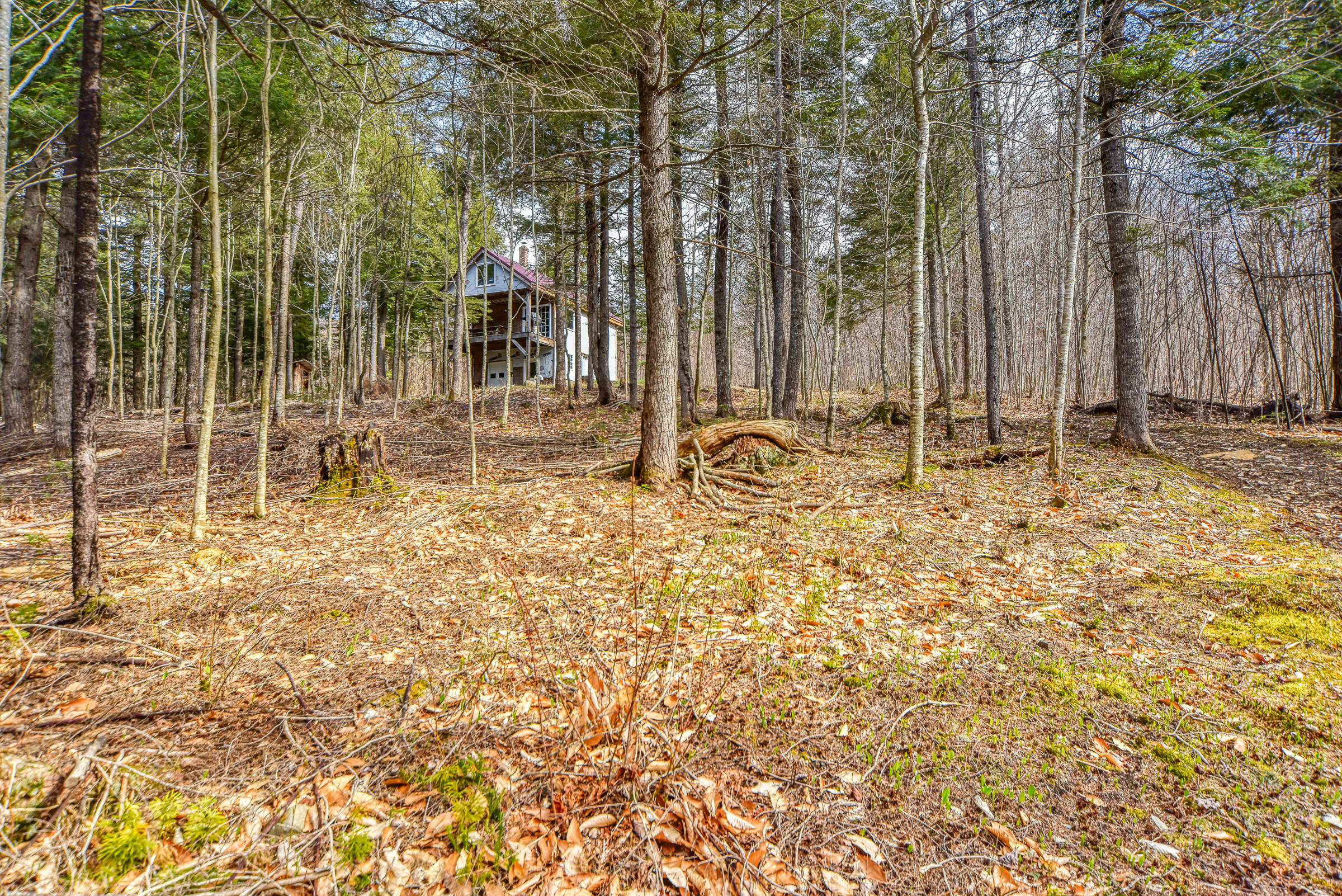 0 Little Huston Brook Road Concord Township, ME 04920 - Photo 166 of 193 108726gr-116