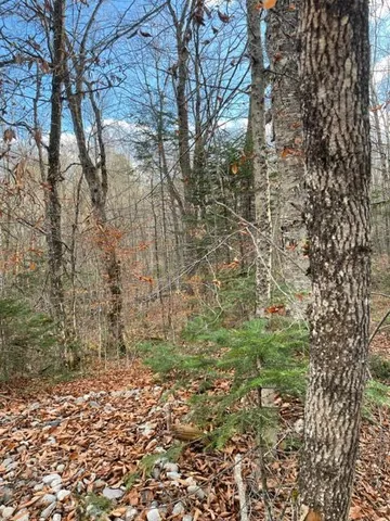 $295,000 | 0 Little Huston Brook Road, Concord Township, ME 04920