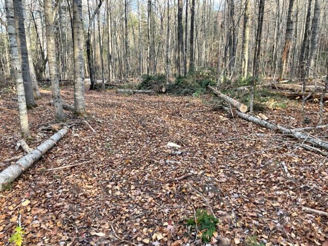 0 Little Huston Brook Road Concord Township, ME 04920 - Photo 169 of 193 IMG_1306