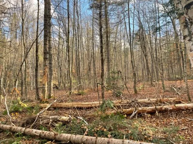 $295,000 | 0 Little Huston Brook Road, Concord Township, ME 04920