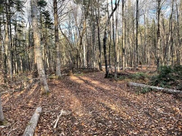$295,000 | 0 Little Huston Brook Road, Concord Township, ME 04920