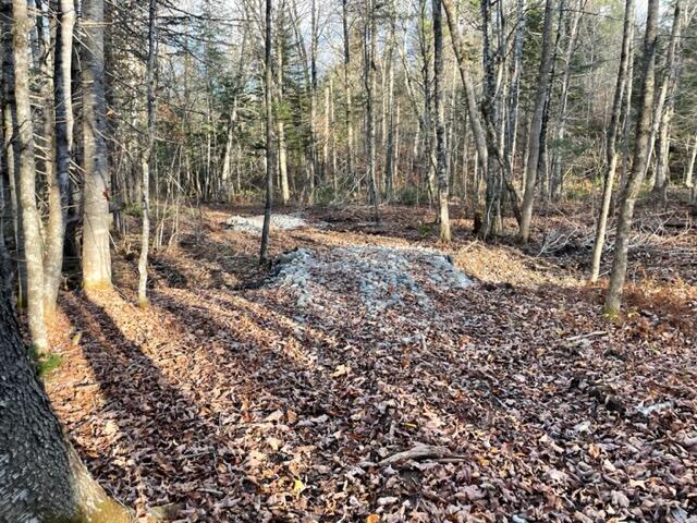 0 Little Huston Brook Road Concord Township, ME 04920 - Photo 173 of 193 IMG_1310