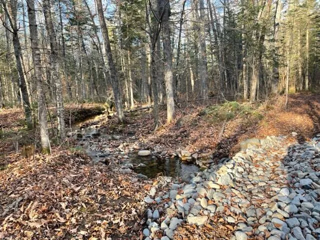 $295,000 | 0 Little Huston Brook Road, Concord Township, ME 04920