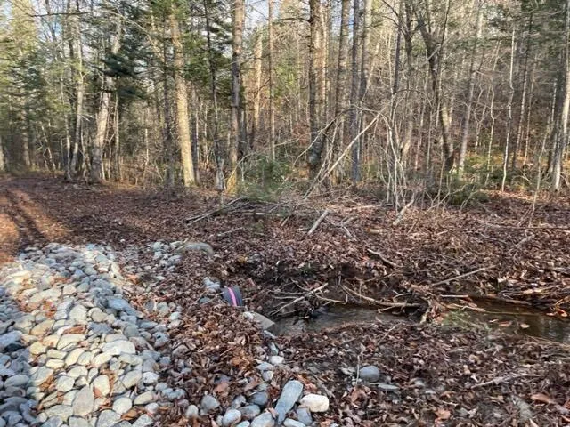 $295,000 | 0 Little Huston Brook Road, Concord Township, ME 04920